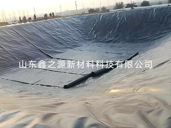 選擇防滲土工膜進(jìn)行小龍蝦養(yǎng)殖有哪些要點(diǎn)技巧？