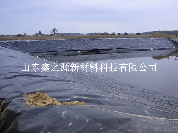 養(yǎng)殖防滲膜施工固定新法：簡約高效，守護(hù)生態(tài)養(yǎng)殖